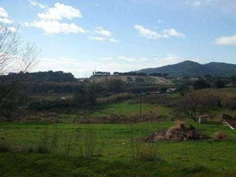 Land in Palafolls, Barcelona for sale Primary Photo- Image 1 of 3