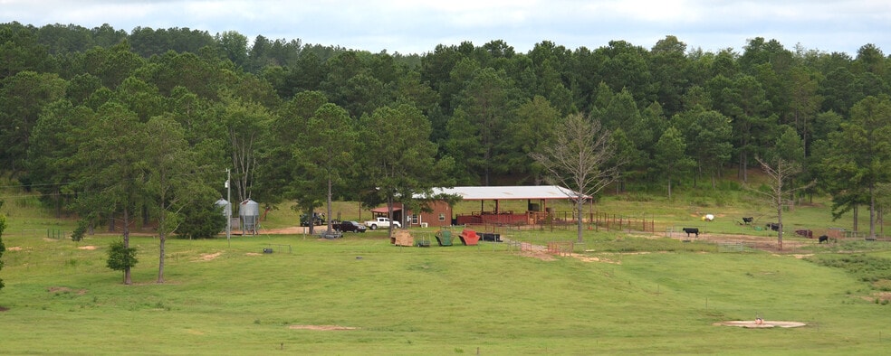 195 Windham Bottom Rd, Reynolds, GA for sale - Primary Photo - Image 1 of 1