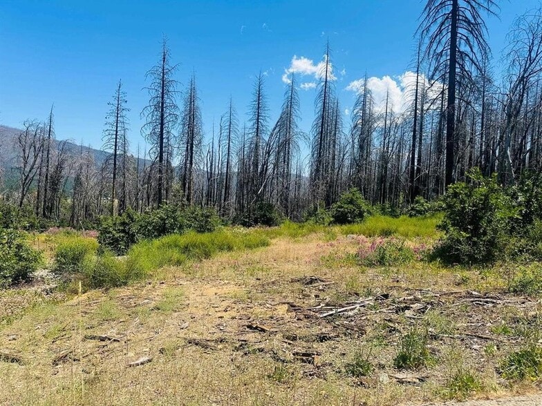 172 Standart Mine Road Rd, Greenville, CA for sale - Building Photo - Image 2 of 2