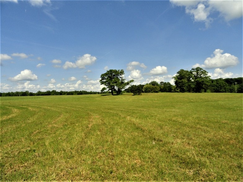 380 Murphy Rd, Belton, SC for sale - Primary Photo - Image 1 of 1