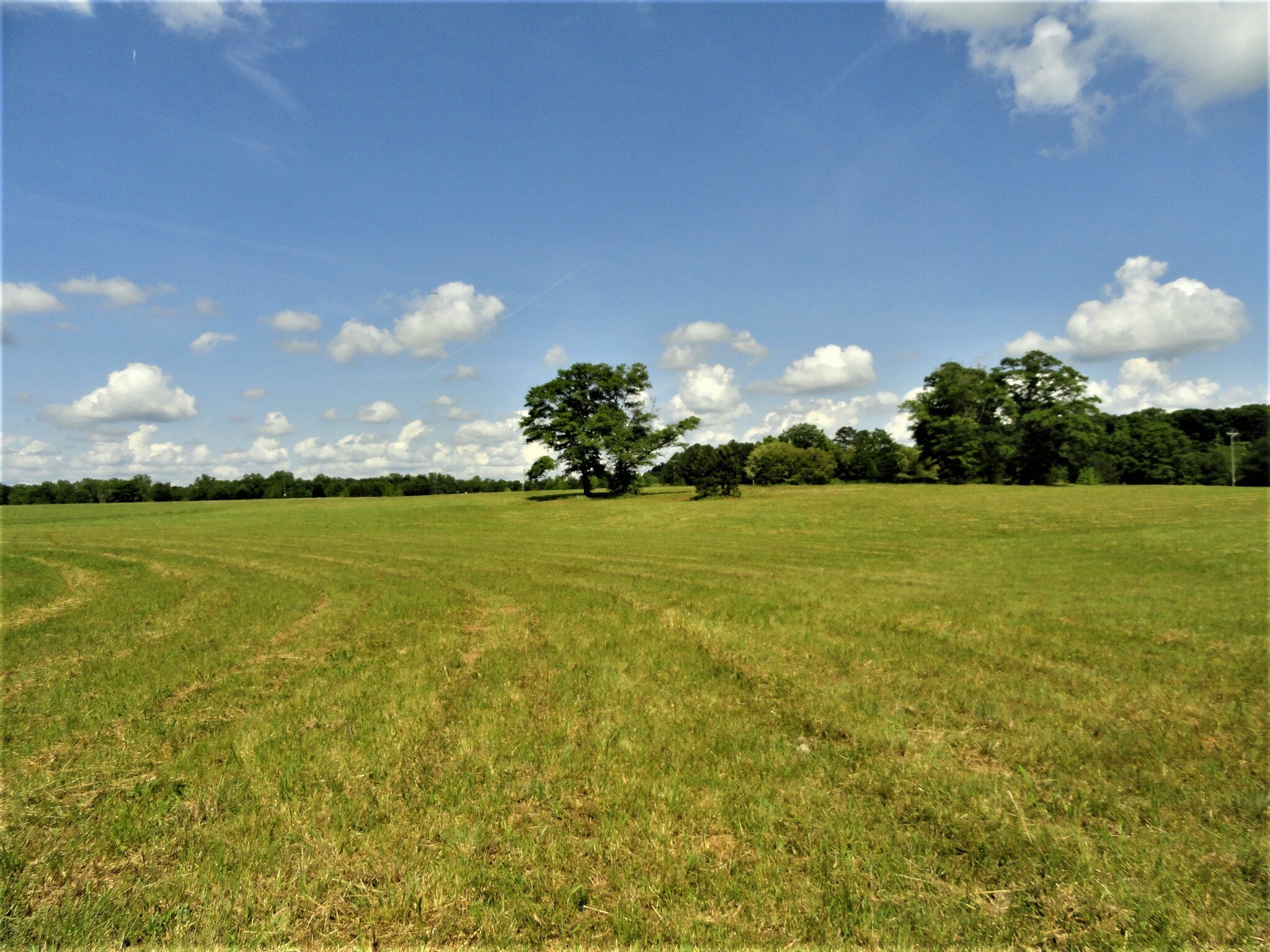 380 Murphy Rd, Belton, SC for sale Primary Photo- Image 1 of 1