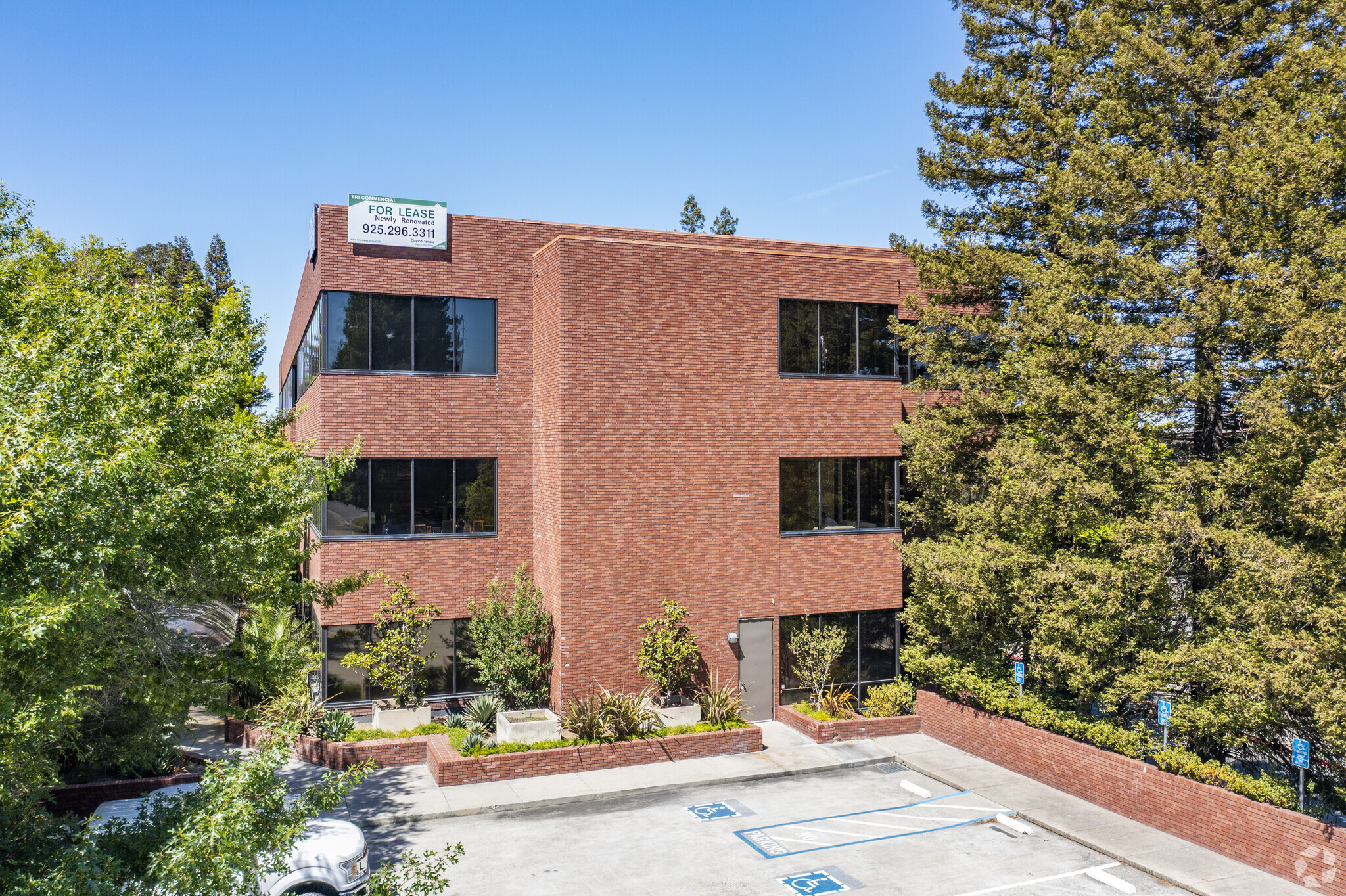 1777 Oakland Blvd, Walnut Creek, CA for lease Building Photo- Image 1 of 6