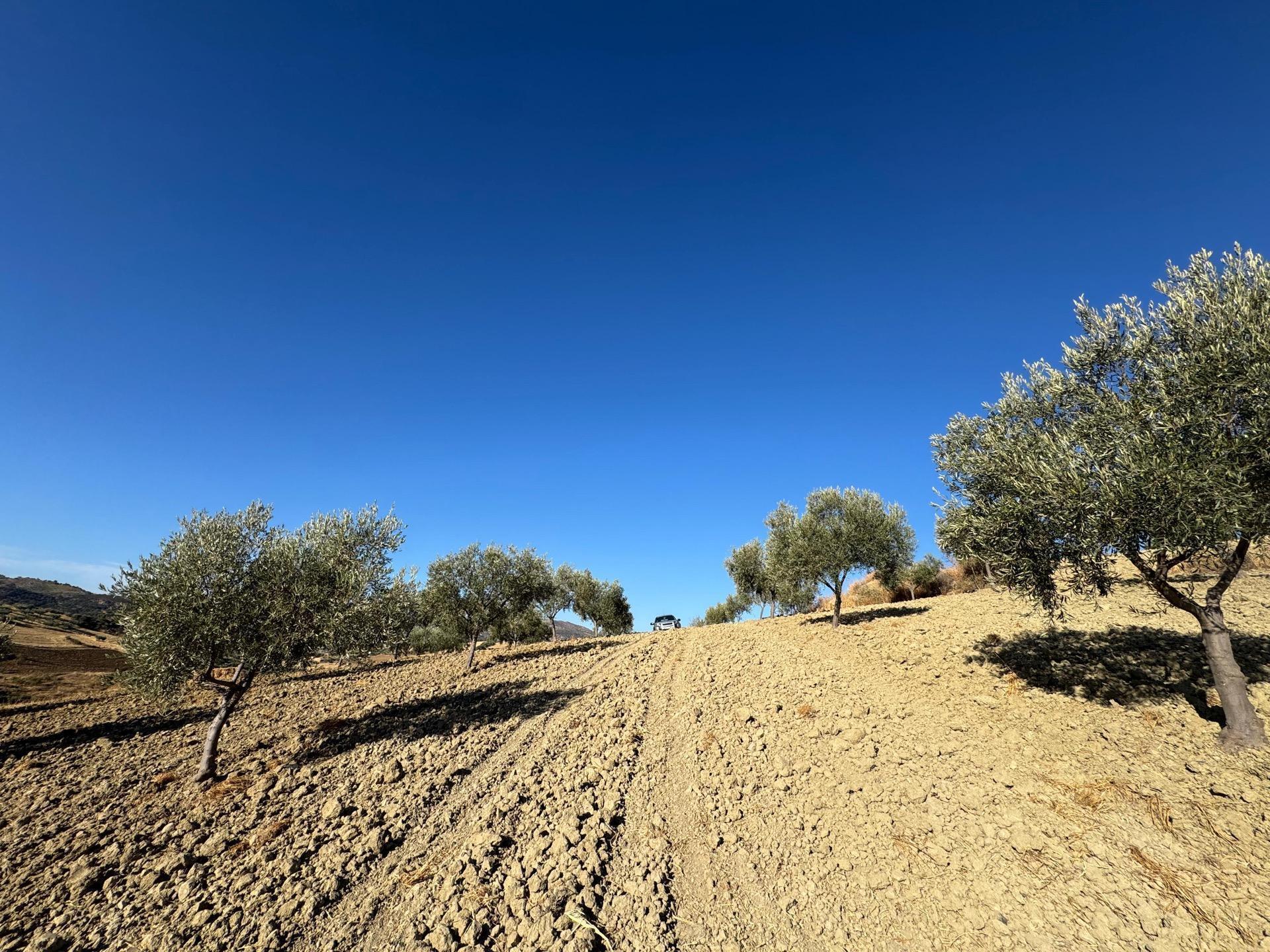 Land in Casabermeja, Málaga for sale Aerial- Image 1 of 14