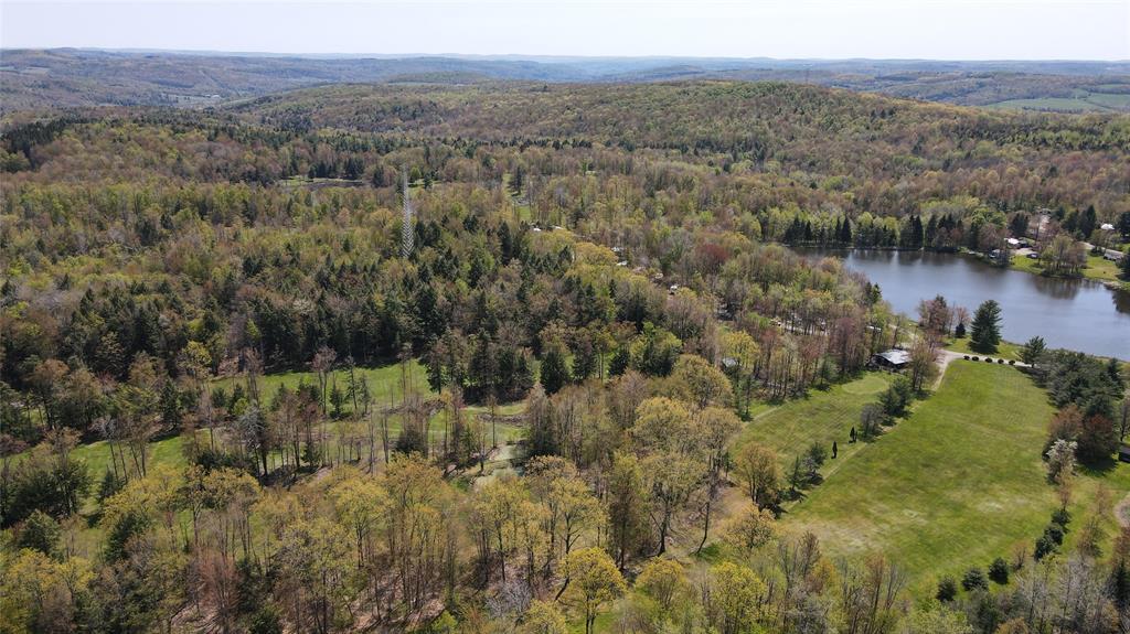 350 Rabbit Path Rd, Lisle, NY for sale Aerial- Image 1 of 1