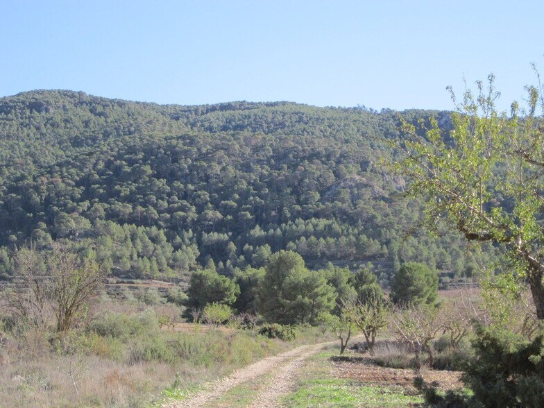 Land in Villena for sale - Building Photo - Image 3 of 8