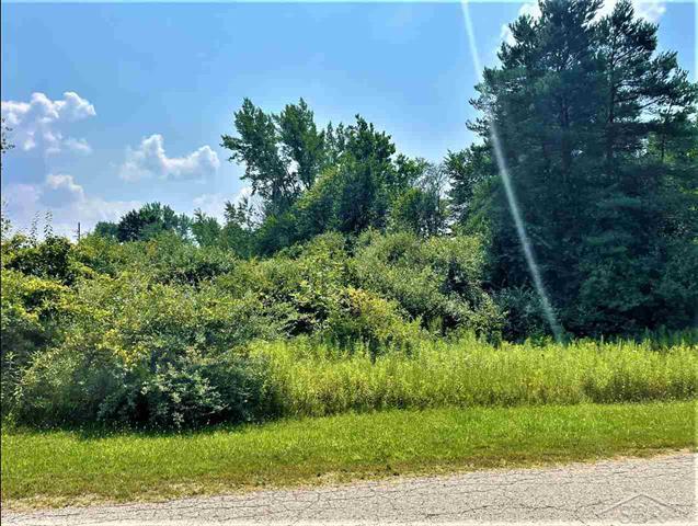 580 State Rd, Vassar, MI for sale - Other - Image 2 of 9