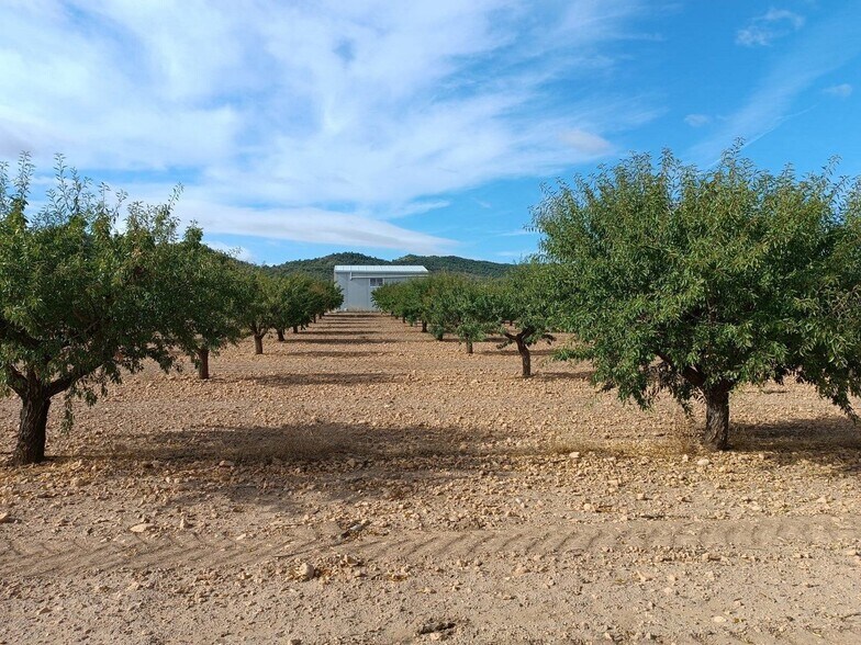 Land in MURCIA for sale - Building Photo - Image 1 of 7