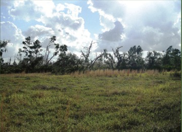 0 Ranch Lake Lane, Alturas, FL for sale Building Photo- Image 1 of 3