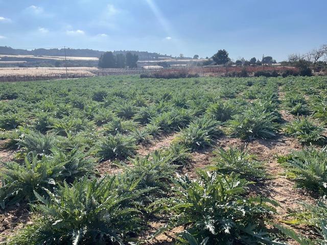 Polígono, Totana, Murcia for sale Building Photo- Image 1 of 6