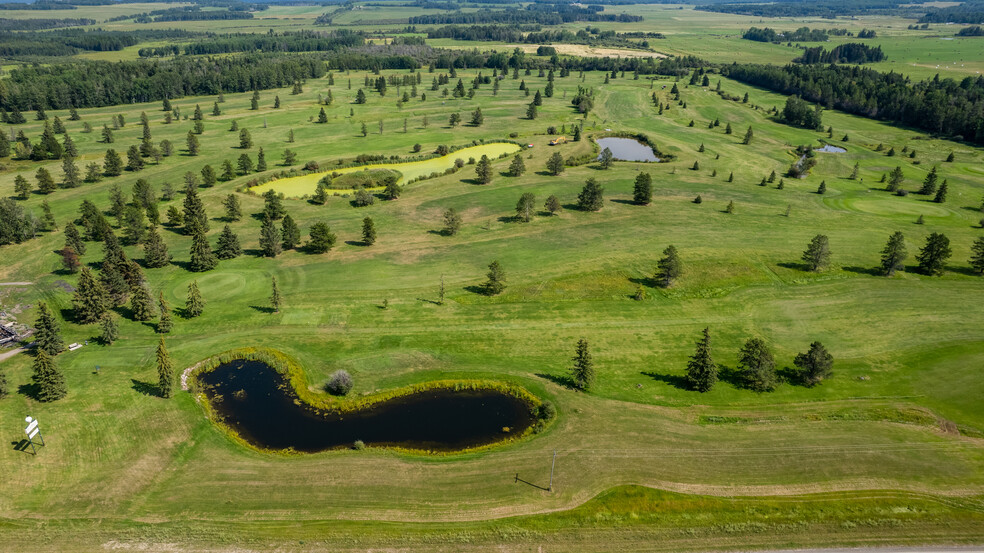 454065 Hwy 22, Alder Flats, AB for sale - Aerial - Image 3 of 4