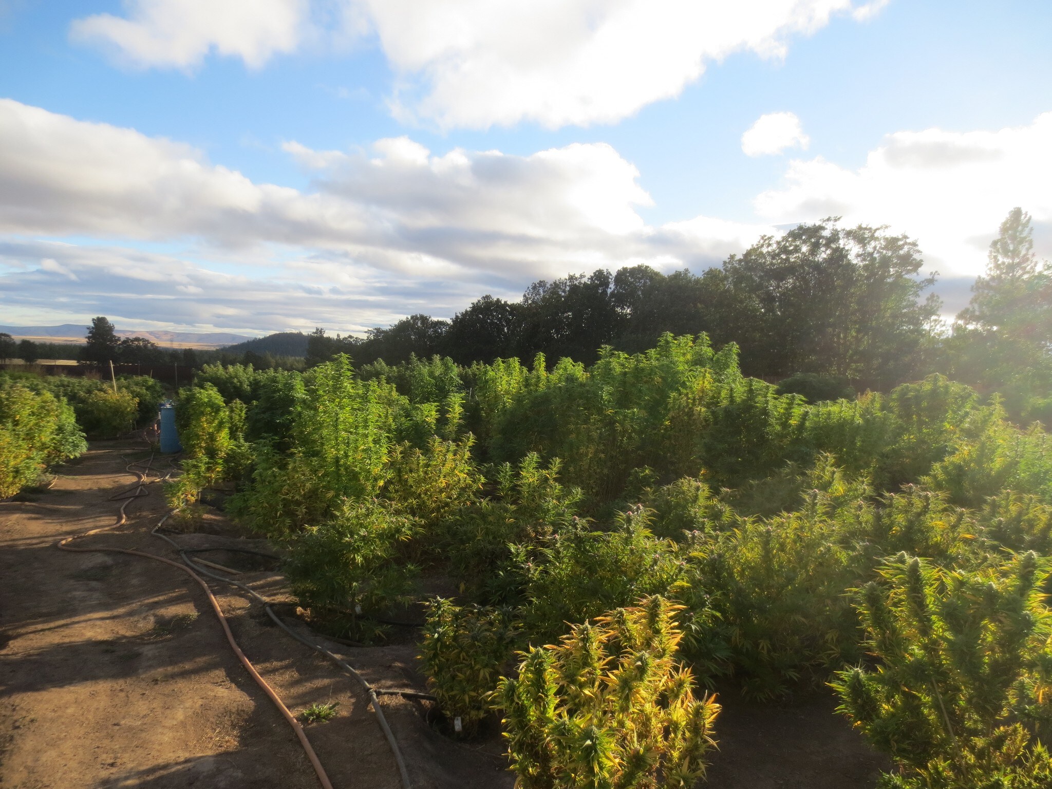 1111 Highway 97, Goldendale, WA for sale Building Photo- Image 1 of 1