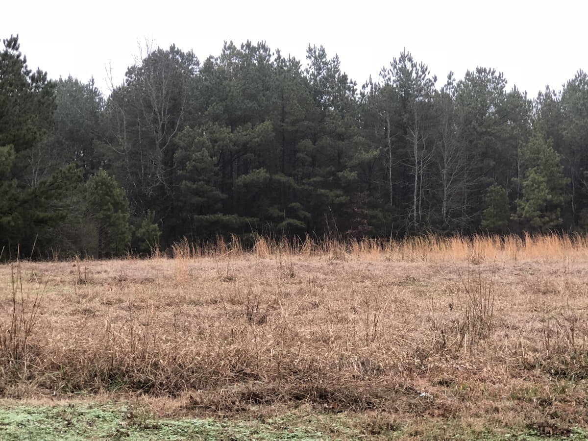 GOSS Rd, Louisville, MS 39339