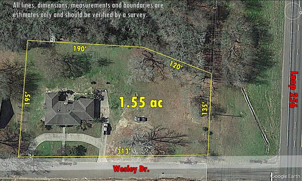 103 Wesley Dr, Palestine, TX for sale - Aerial - Image 1 of 1