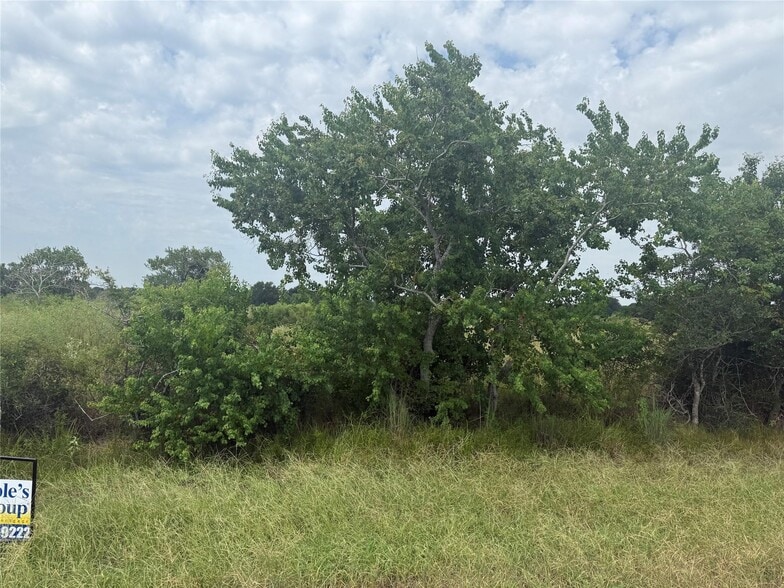 0 County Road 25 Rd, Damon, TX for sale - Building Photo - Image 2 of 4