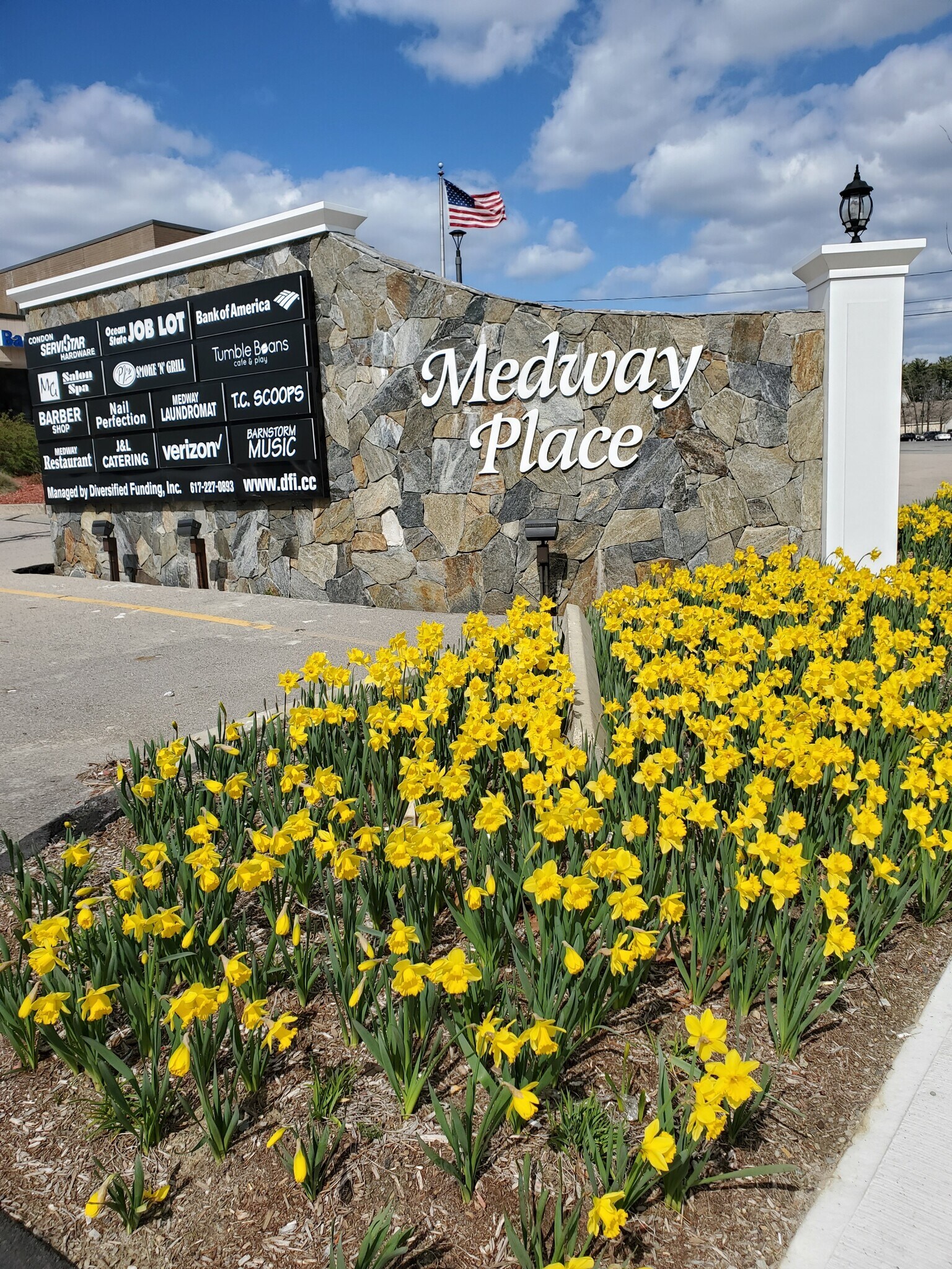 Delotus Medway Ma