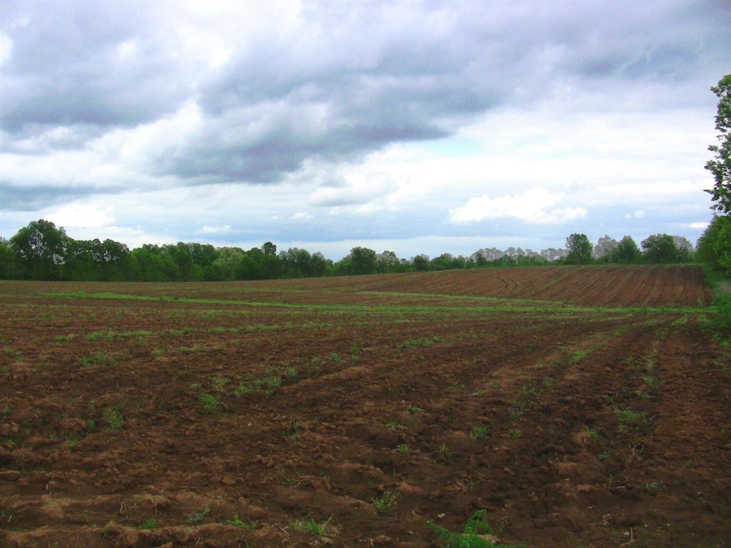 0 Wysteria Ln, Georgetown, KY for sale Primary Photo- Image 1 of 1