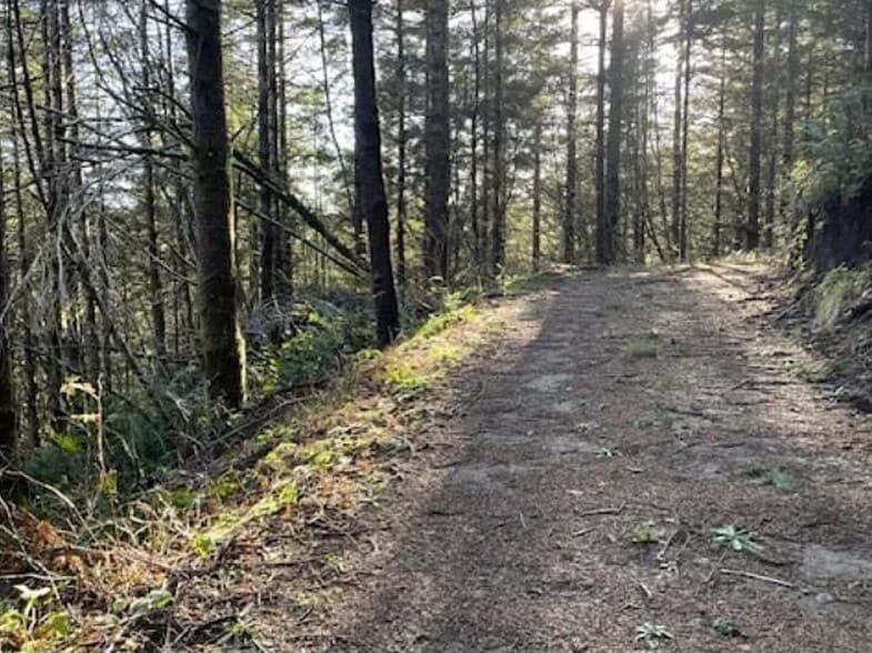 2840 NE Big Creek Rd, Newport, OR for sale - Building Photo - Image 2 of 4