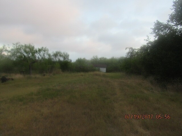 View Photo