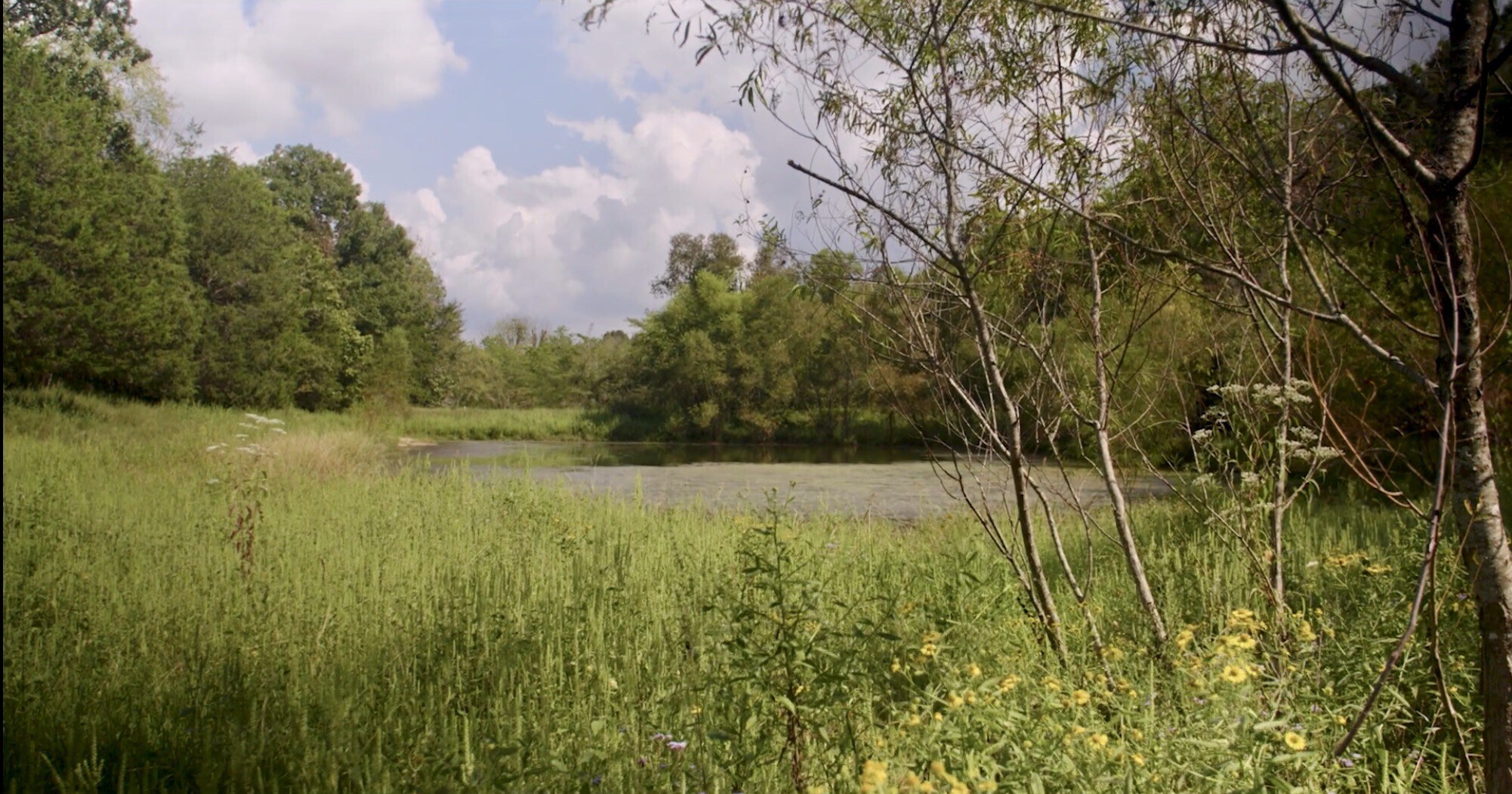 4840 Joe Peay Rd, Spring Hill, TN 37174 4840 Joe Peay Rd.