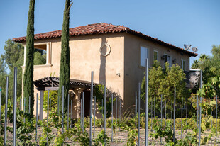 38330 De Portola Rd, Temecula CA - Vineyard