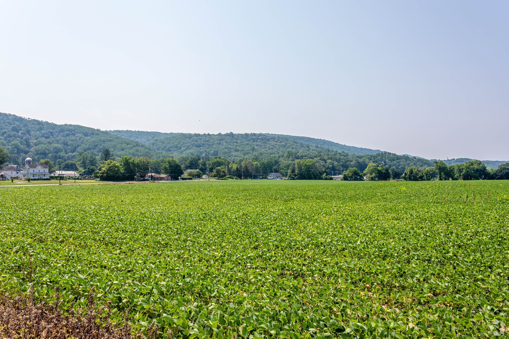 Foul Rift Rd, Belvidere, NJ for sale Primary Photo- Image 1 of 1