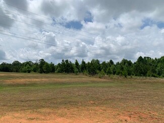 More details for 15414 Old Highway 5 S, Grove Hill, AL - Land for Sale