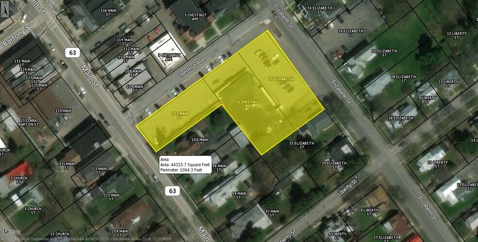 6 Chestnut Ave, Dansville, NY for sale - Primary Photo - Image 1 of 1