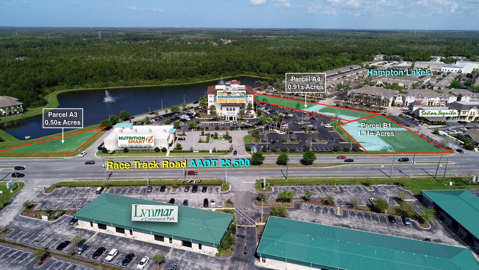 12898 Race Track Rd, Tampa, FL, 33626 Residential / Multifamily Land