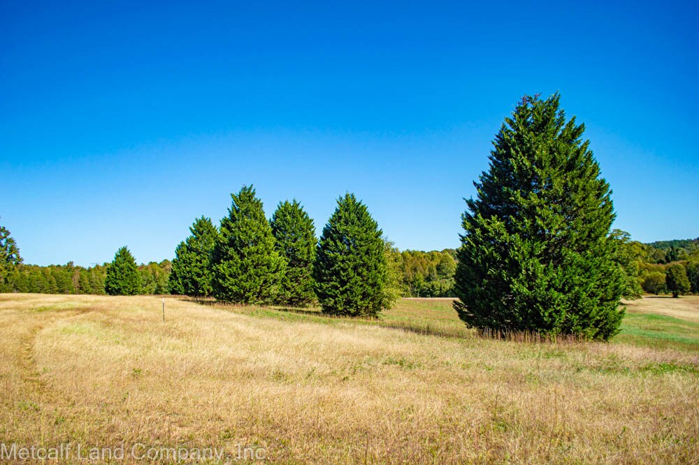 0 Old Asheville Hwy., Campobello, SC 29322 Vanderbilt Farms Estate