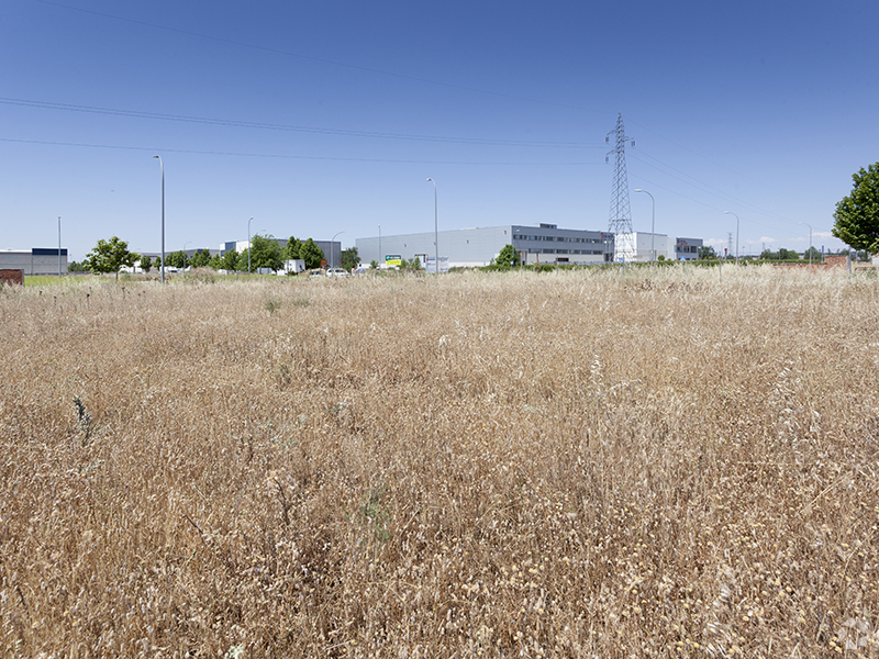 Land in Meco, MAD for sale Primary Photo- Image 1 of 3