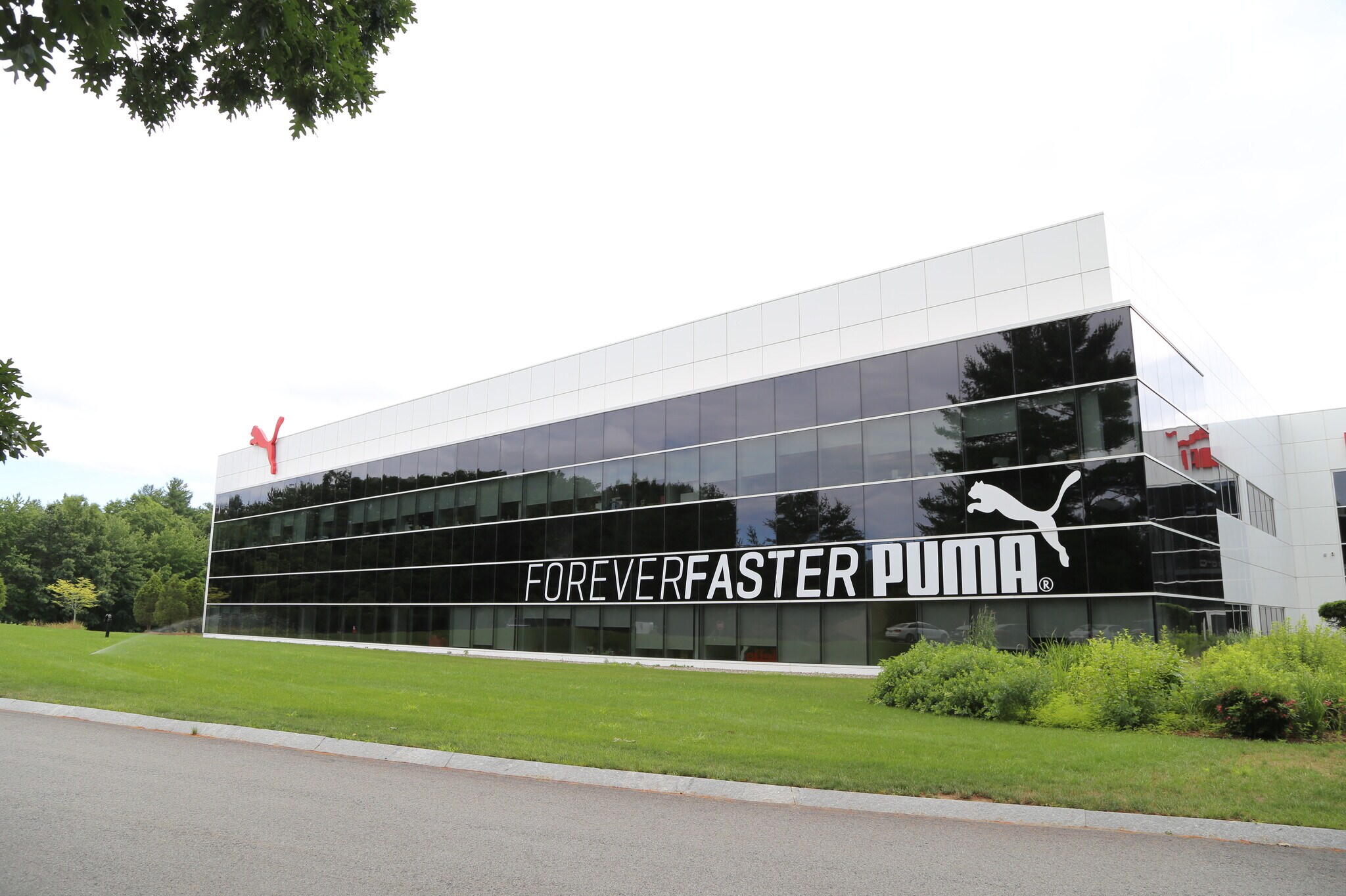 10 Lyberty Way, Westford, MA 01886 Flex for Sale