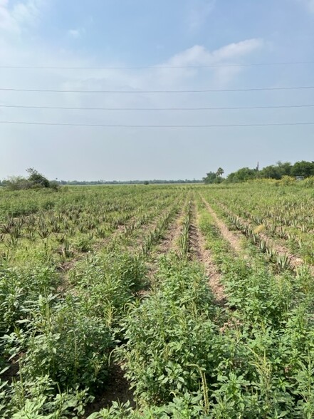 000 W Mile 3 Rd, Palmhurst, TX for sale - Primary Photo - Image 1 of 1