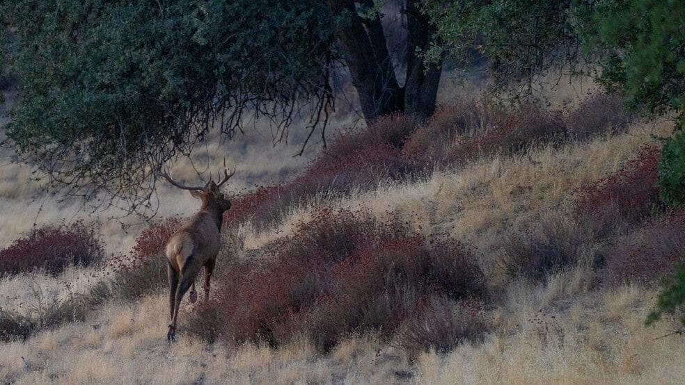 47069 Crump Ln, Coalinga, CA for sale - Primary Photo - Image 2 of 13