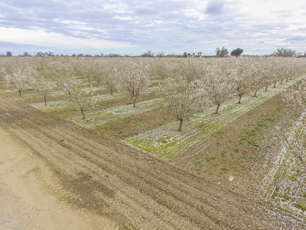 22nd Ave, Lemoore, CA 93245
