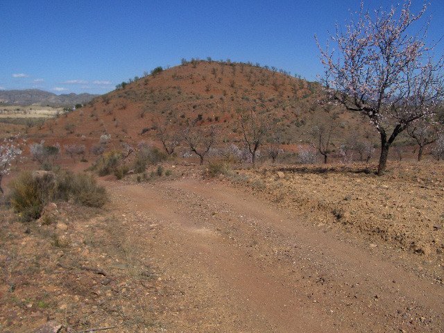 Land in Lorca for sale - Site Plan - Image 2 of 6