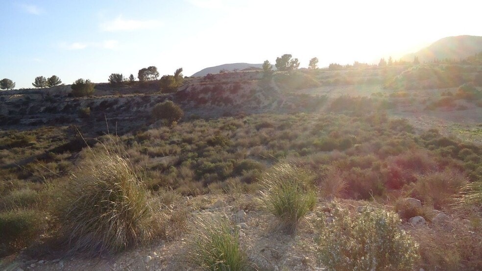 Land in Abanilla for sale - Building Photo - Image 3 of 4