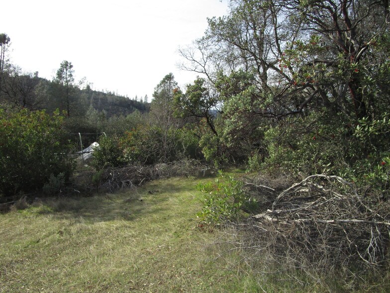 14011 Patterson Valley Rd, Grass Valley, CA 95949
