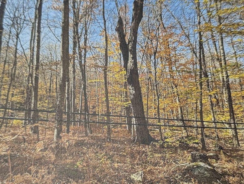 1928 VT-131, Springfield, VT for sale - Other - Image 3 of 12