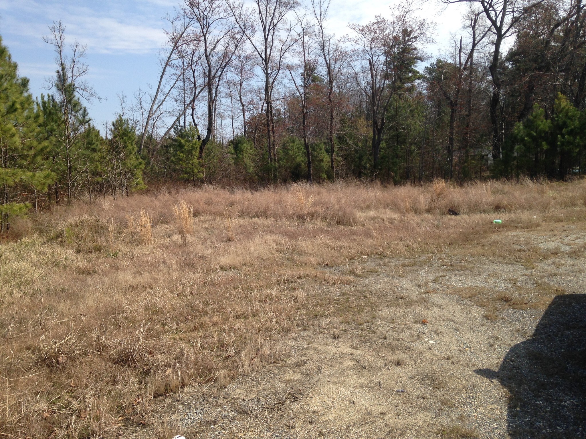 Jefferson Davis Hwy, Ruther Glen, VA for sale Primary Photo- Image 1 of 1