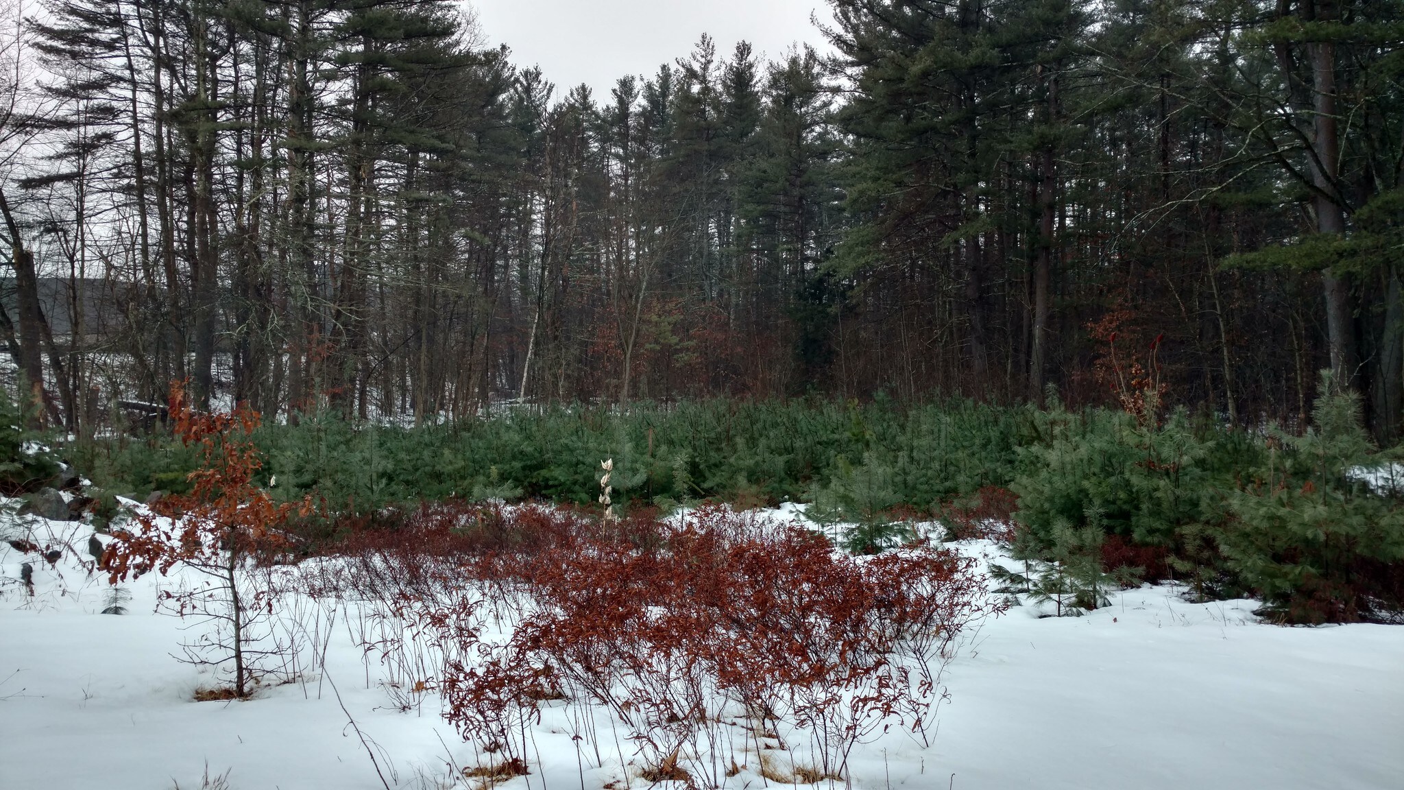 20 Main St, Pelham, NH for sale Other- Image 1 of 1