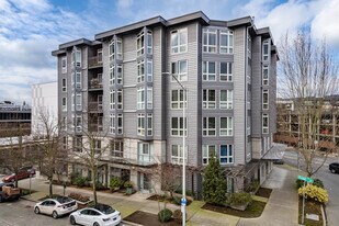 Matae Belltown Condominiums - Loft