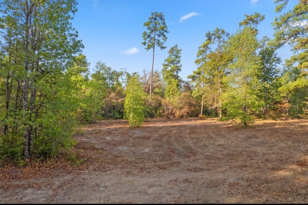 HWY 150, New Waverly, TX 77358 Land for Sale