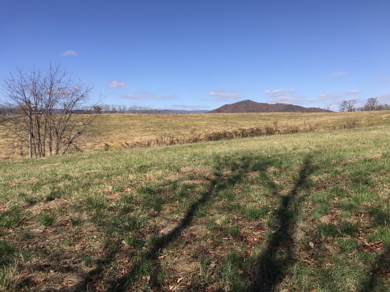 0 Holston Rd, Wytheville, VA 24382 TBD Holston Road, Wytheville, VA