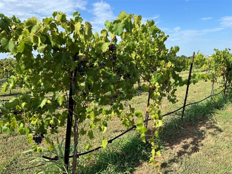 2348 Co 1035 rd, Ravenna, TX 75476 Land for Sale