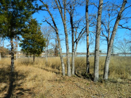 LCR 750, Thornton, TX for sale Primary Photo- Image 1 of 1