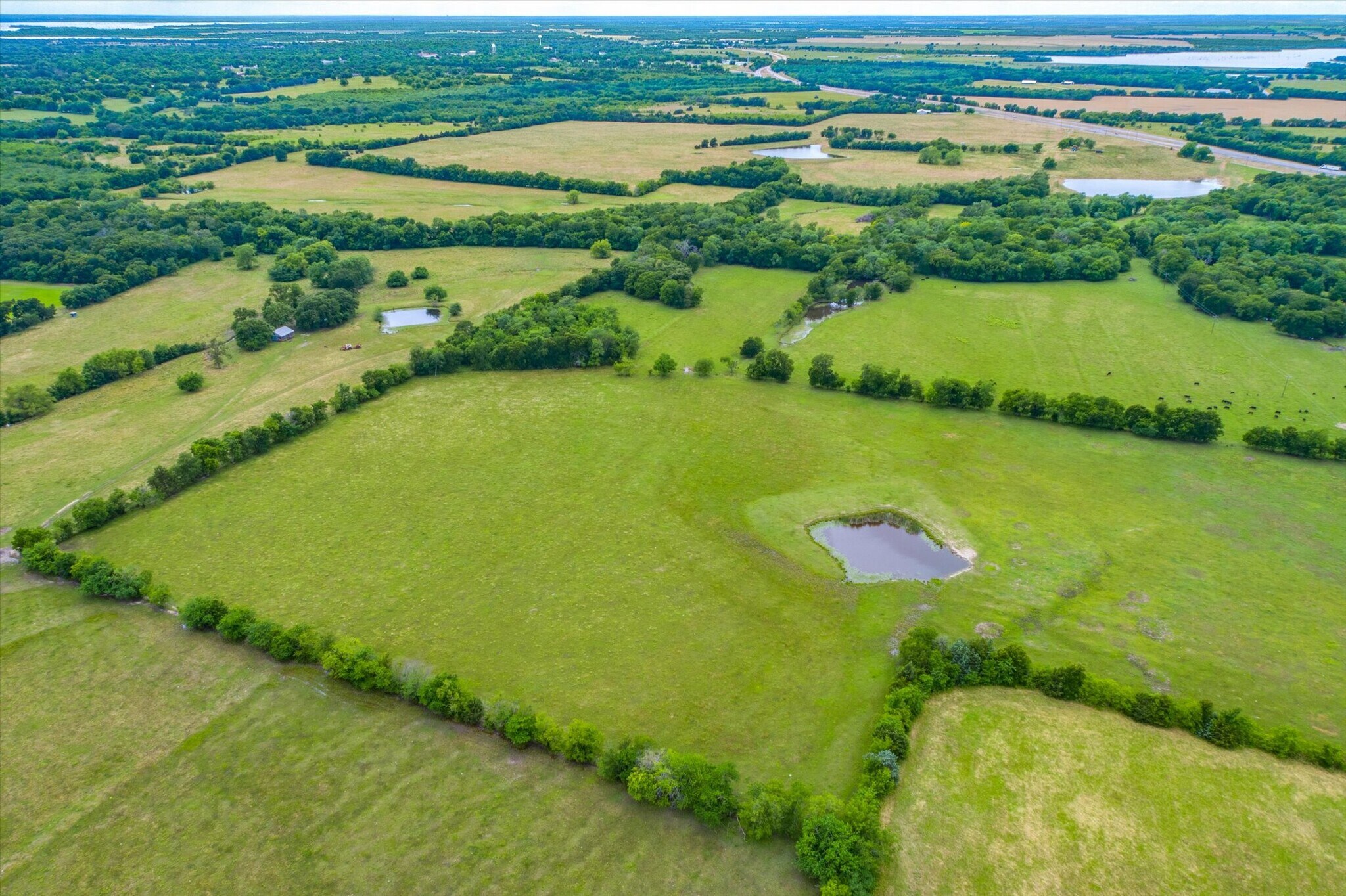 00 Hwy 24 /CR 4210, Cooper, TX for sale Primary Photo- Image 1 of 1