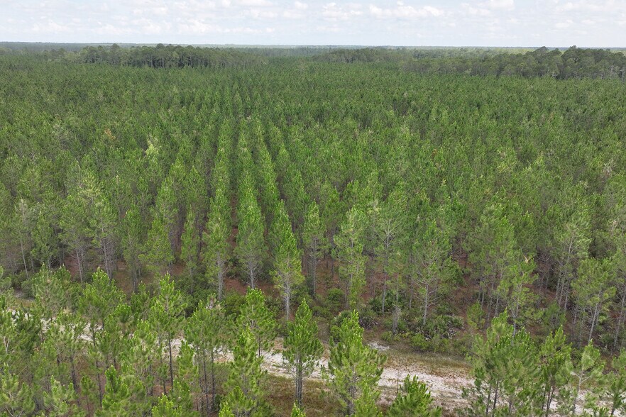 River Road 4, Bryceville, FL 32009