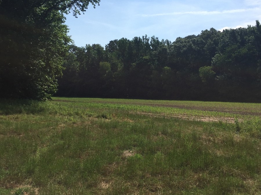 1511 Bend Rd, Coldwater, MS for sale Primary Photo- Image 1 of 1