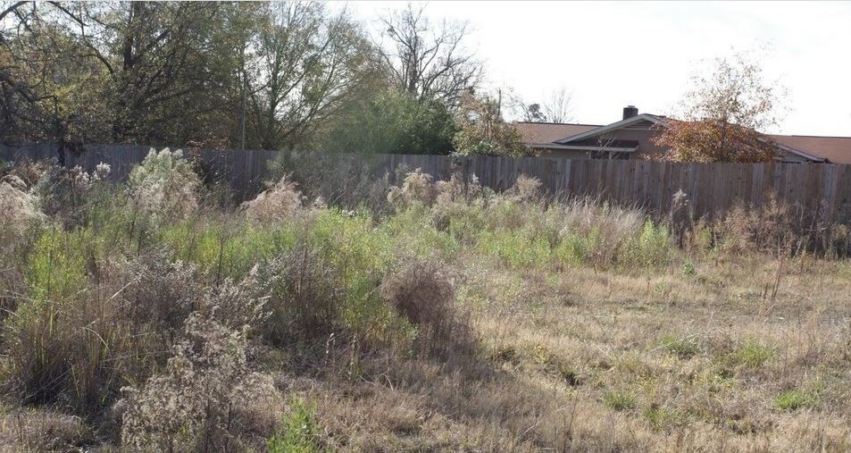 Centrum Dr, Irmo, SC for sale - Other - Image 1 of 1