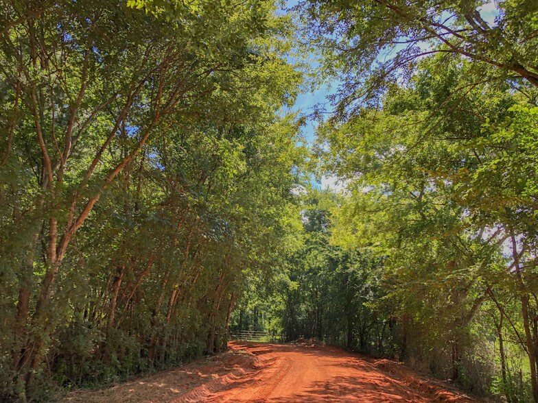 Highway 204, Jacksonville, TX 75766